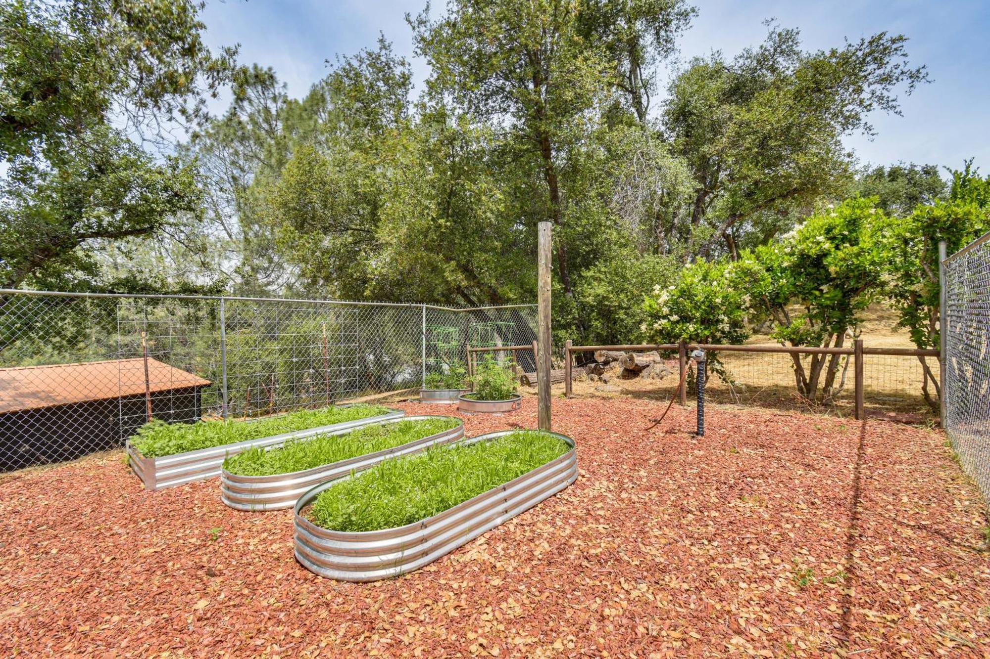 Yosemite Wellbeing Retreat On 5 Acres With Mtn Views Apartment Ahwahnee Exterior photo