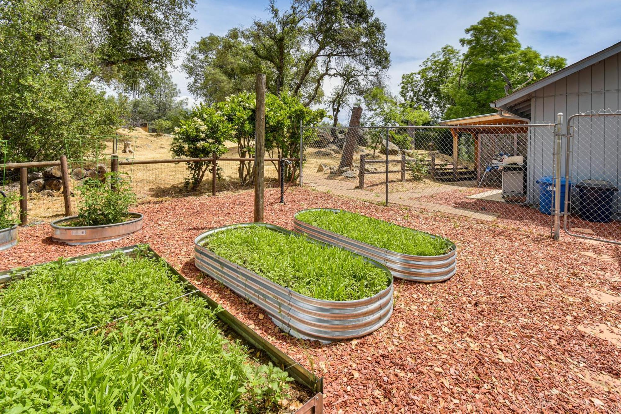 Yosemite Wellbeing Retreat On 5 Acres With Mtn Views Apartment Ahwahnee Exterior photo